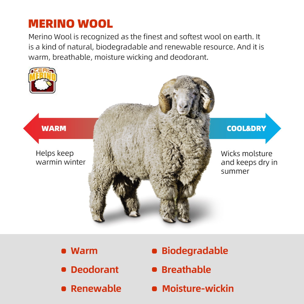 ZEALWOOD Merino Wool Running S - Wool Hiking Sock avis et prix